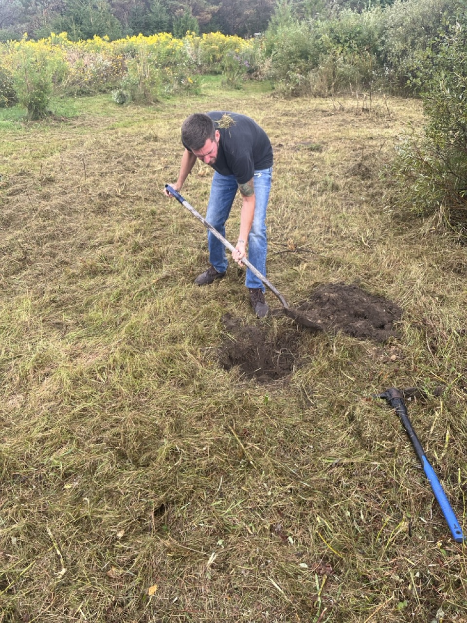 Hands-on land work — digging and planting on the farm